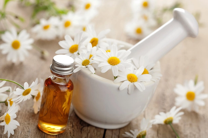 Chamomile