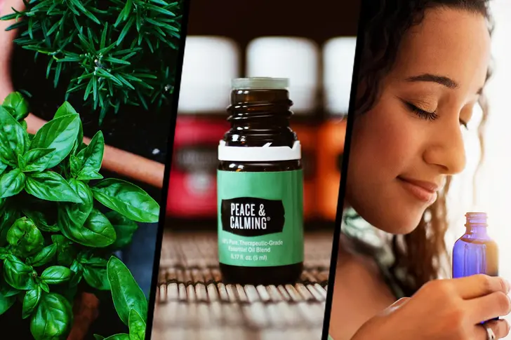 What Are Plant Oils? What Are Plant Oils?