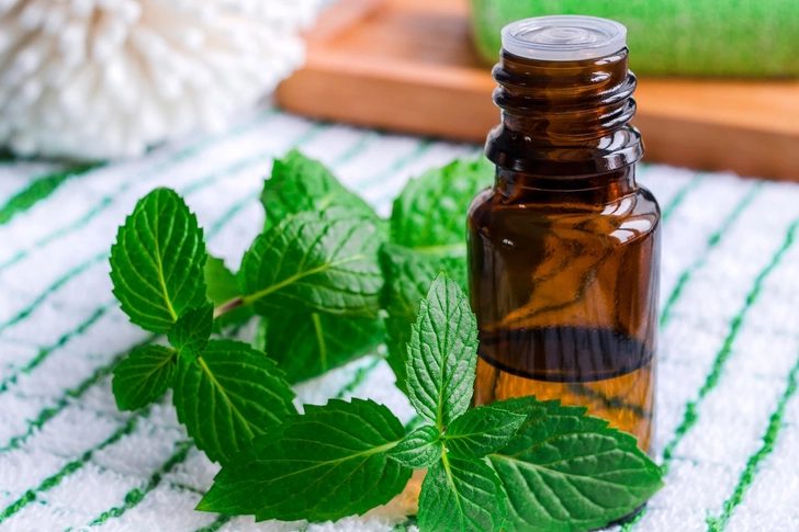 Peppermint