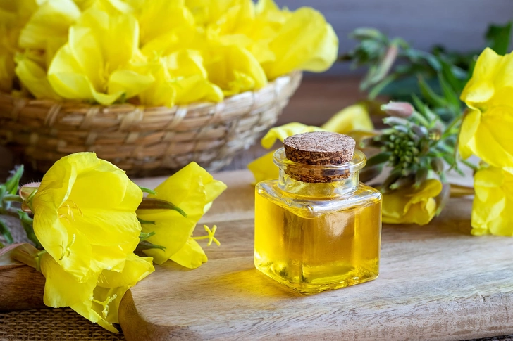 Evening Primrose