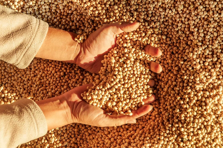 A Final Word on Soy