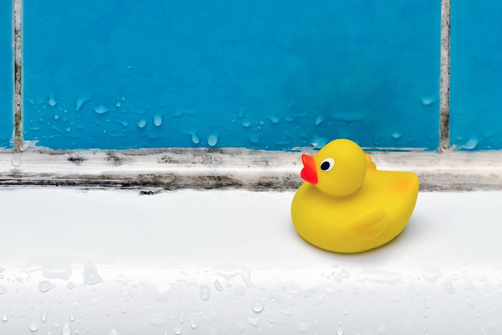 Tackle Mildew in the Shower Tackle Mildew in the Shower