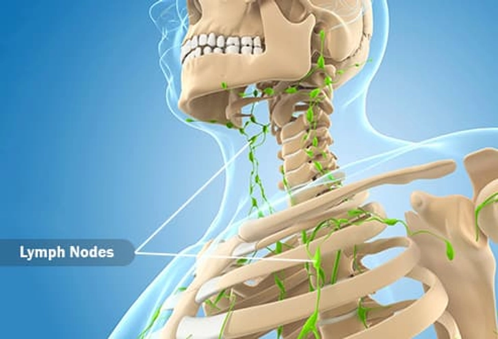 Lymphatic System