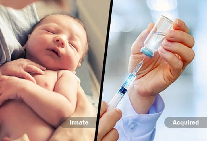 Innate vs. Acquired Immunity