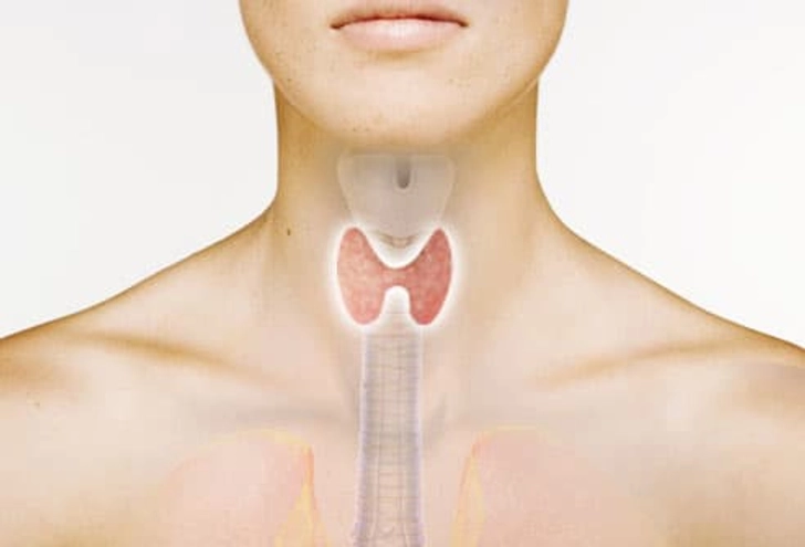 Hair Loss Trigger: Thyroid Problems