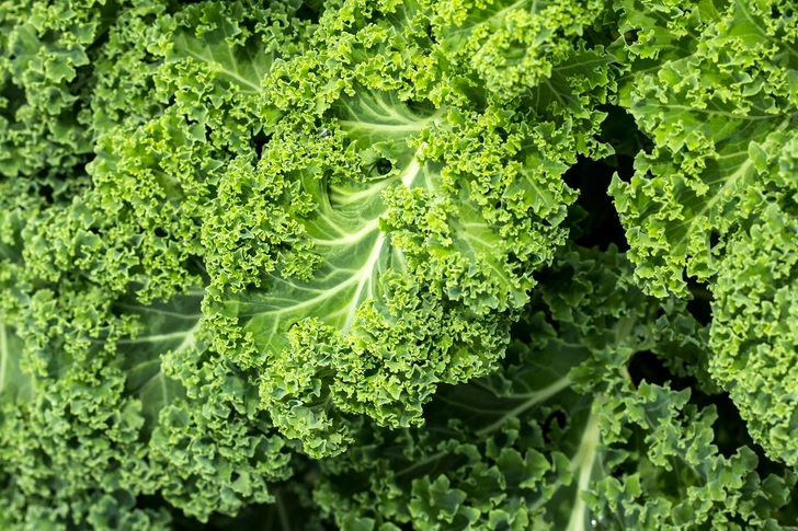 Kale Kale