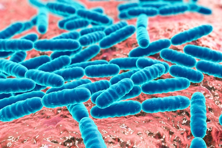 Gut Health