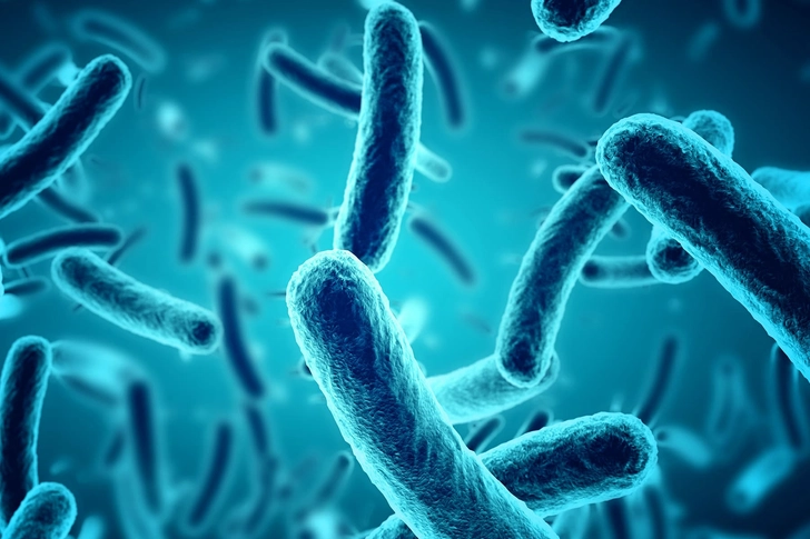 Fight Bacteria