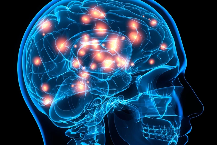 Protect Your Brain Protect Your Brain