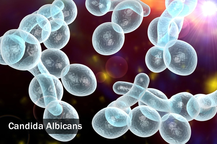 Get Rid of a Yeast Infection