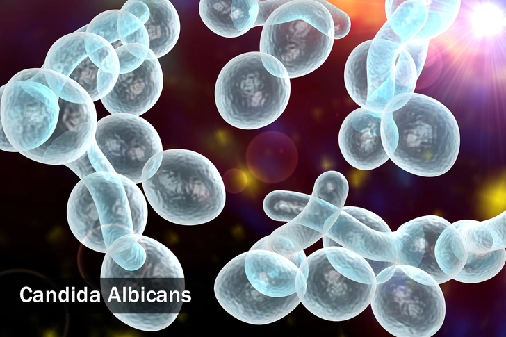 Get Rid of a Yeast Infection Get Rid of a Yeast Infection
