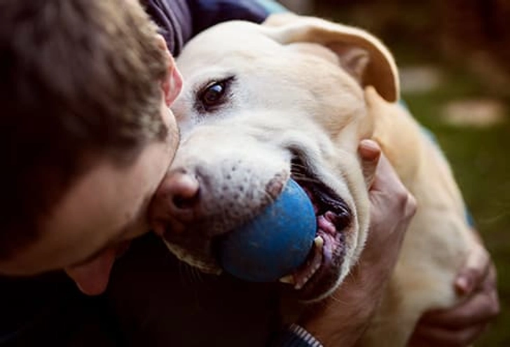 Should You Hug Your Dog?
