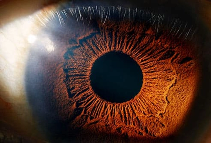 They Help Your Eyes