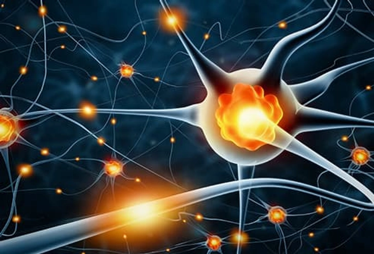 They Help Sharpen the Brain They Help Sharpen the Brain