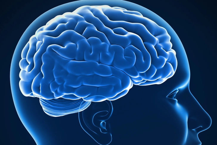 Good for Your Brain