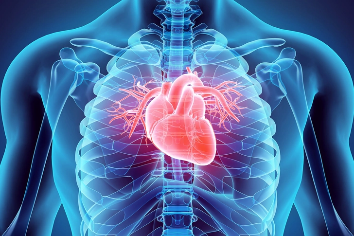 Heart Help Heart Help