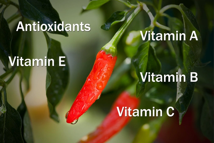 Boost Your Body