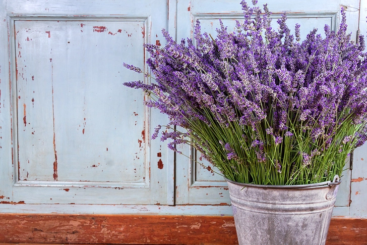 Relaxing Lavender Relaxing Lavender
