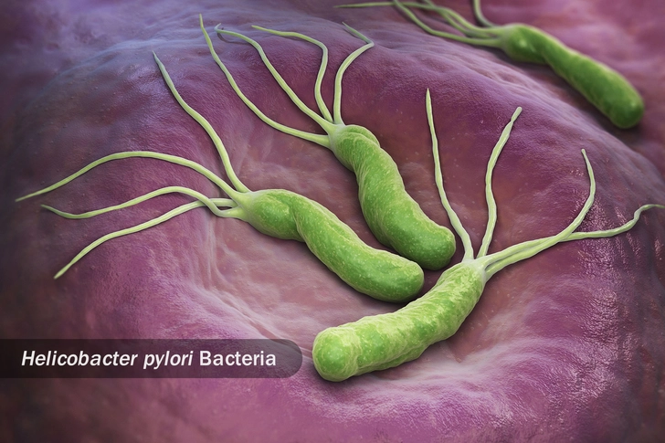 Zaps Bacteria Zaps Bacteria