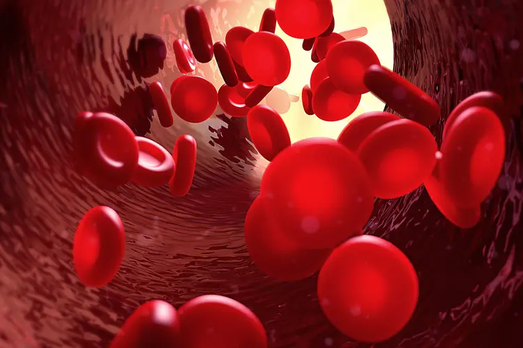 photo of red blood cells