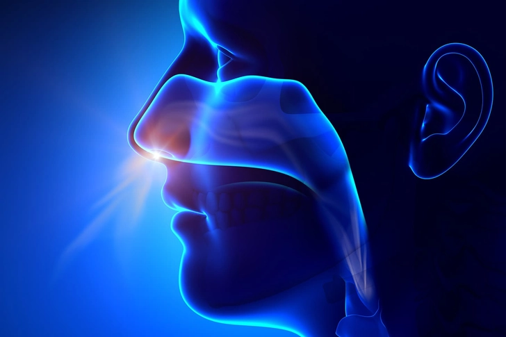 Ease Stuffy Sinuses