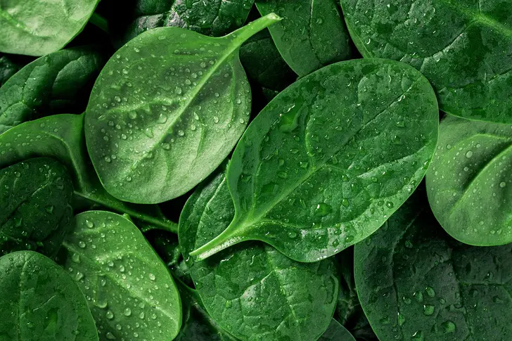 Green Goodness Green Goodness
