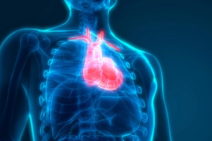 Healthier Heart Healthier Heart