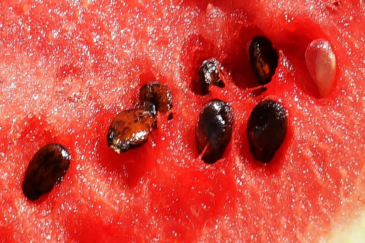 What If I Eat a Seed by Accident?