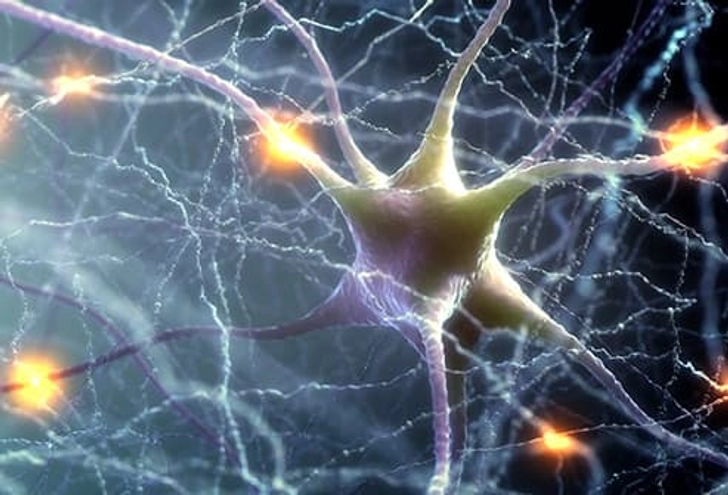 Multiple Sclerosis (MS) Multiple Sclerosis (MS)