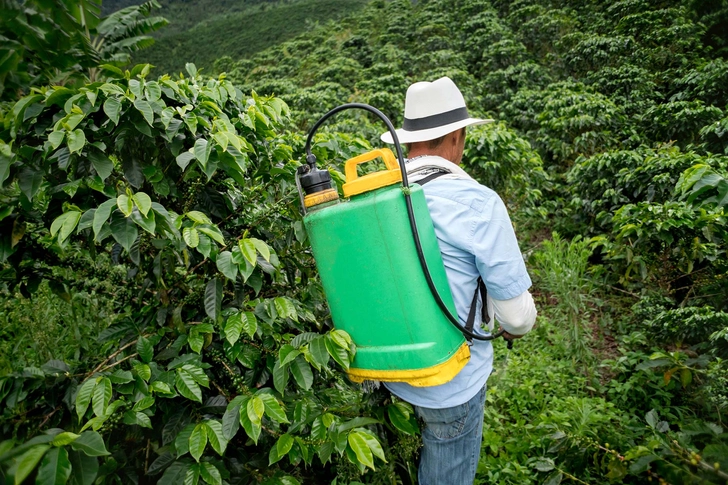 Opt for Organic Opt for Organic