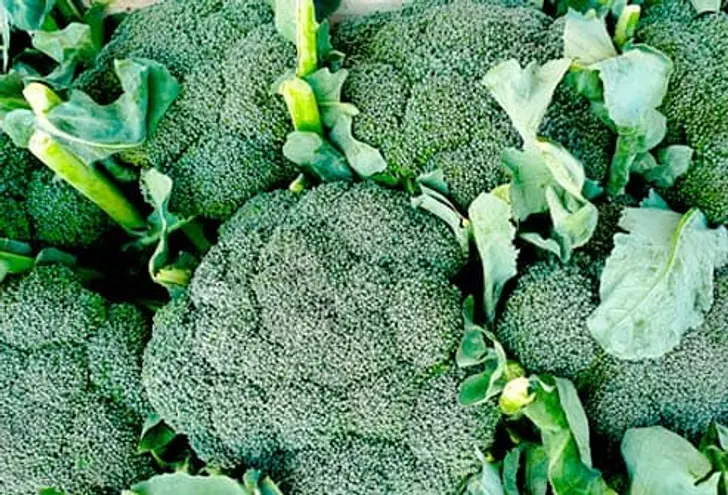 Eat Leafy Greens