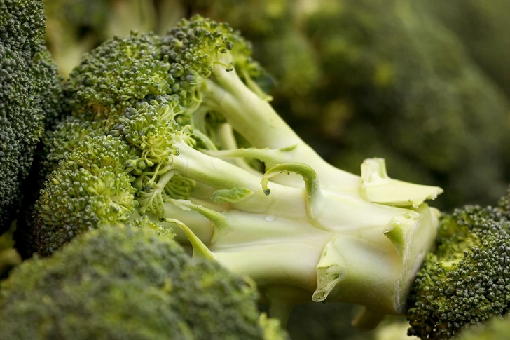 Broccoli Broccoli