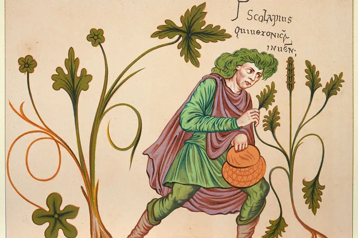 Herbs and Spices Used as Medicine Herbs and Spices Used as Medicine