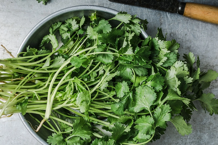 Cilantro and Coriander Seed Cilantro and Coriander Seed