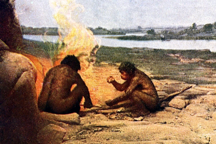 Paleo Diet