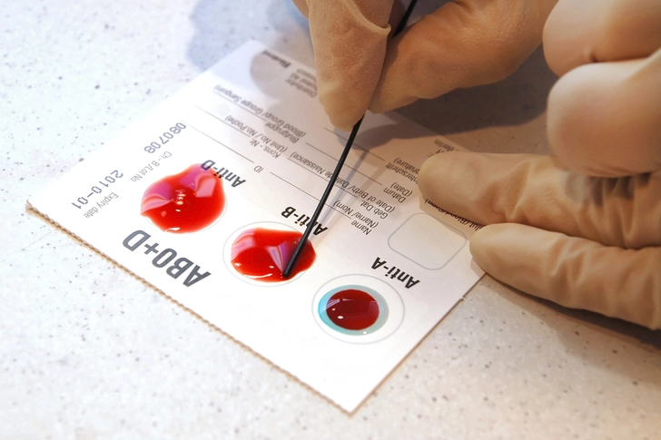The Blood Type Diet