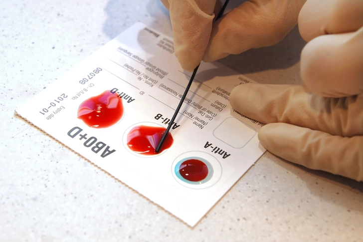 The Blood Type Diet The Blood Type Diet