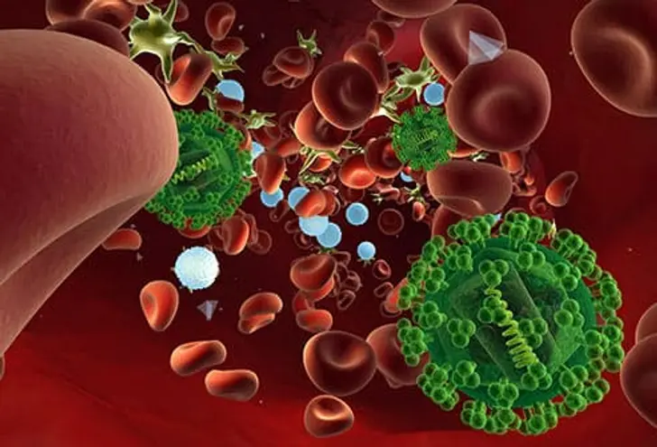 What Is HIV/AIDS? What Is HIV/AIDS?