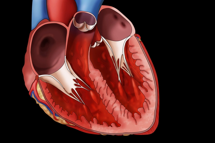 Hardens Your Heart Hardens Your Heart