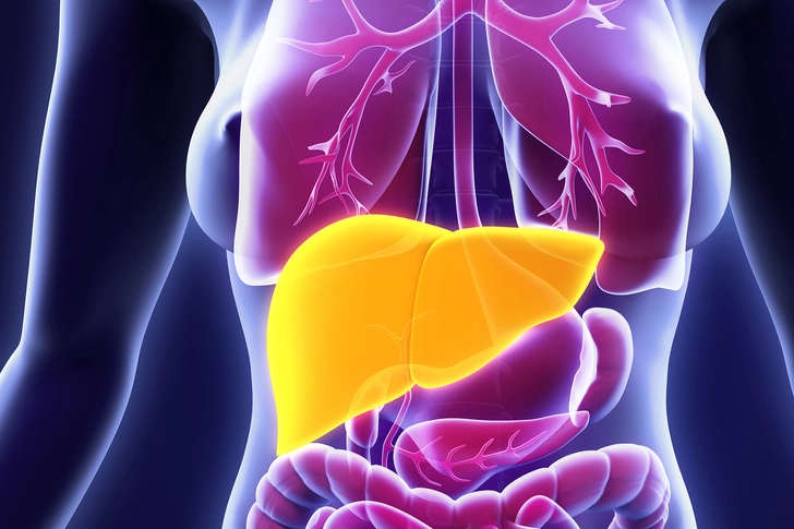 Liver Issues Liver Issues