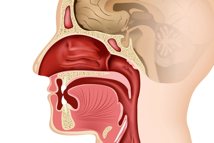 Upper Respiratory Infection Upper Respiratory Infection