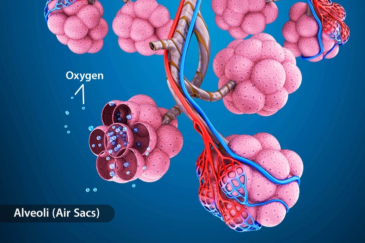 Interstitial Lung Disease (Pulmonary Fibrosis) Interstitial Lung Disease (Pulmonary Fibrosis)