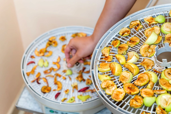 Using a Dehydrator Using a Dehydrator