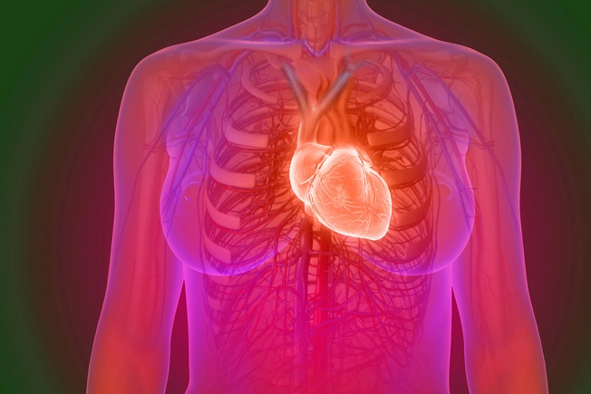 Heart Disease and Heart Attack