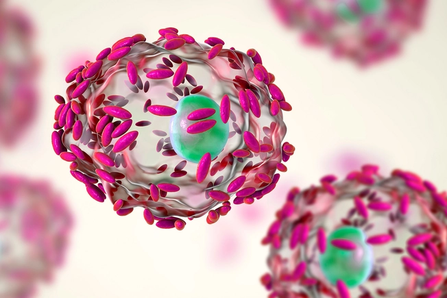 HIV and Bacterial Vaginosis (BV) 