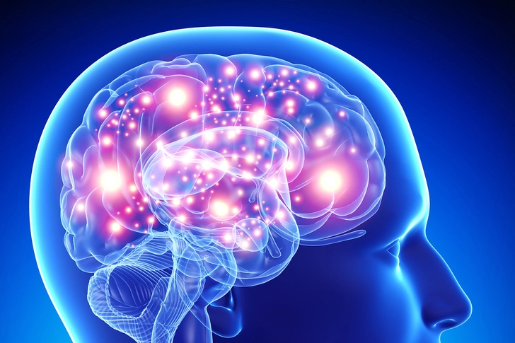 Brain Performance Brain Performance