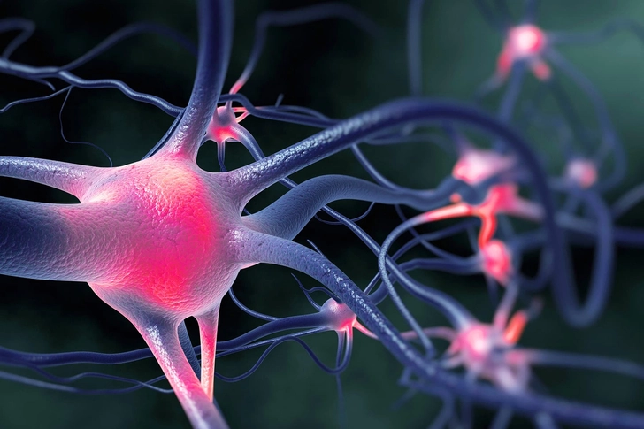 Epilepsy Epilepsy