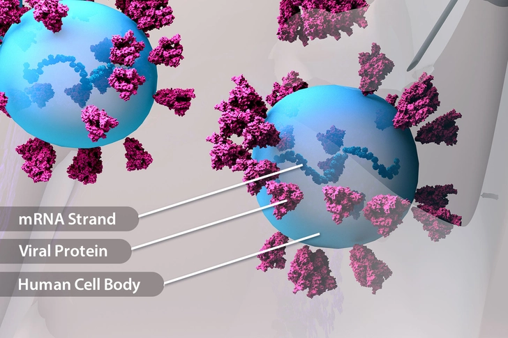 Why Does mRNA Vaccine Use Protein?