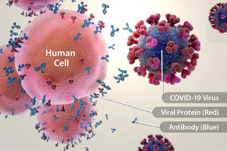 How mRNA Vaccines Work How mRNA Vaccines Work