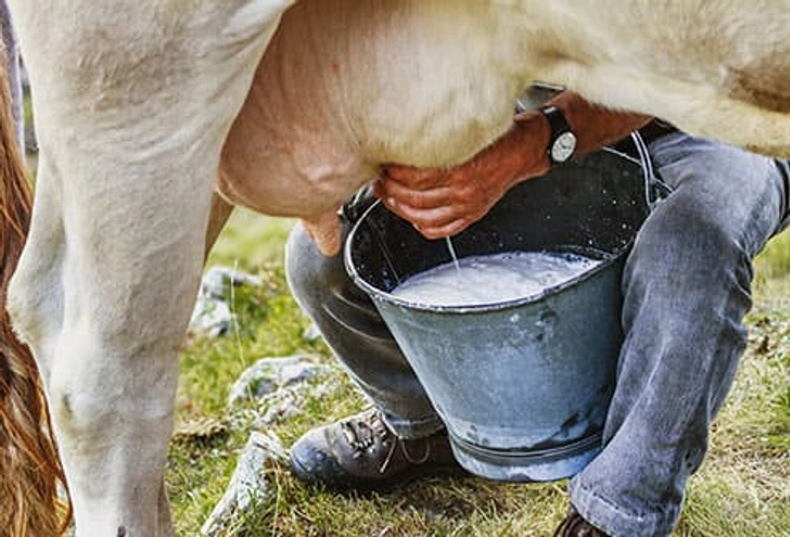 Be Smart About Meat and Dairy